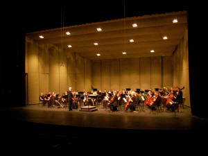WSD: New Philharmonic Orchestra of Irving
